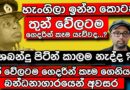 Viparama TV News
