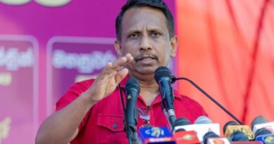 මෙරට පොල් ආදායම 2030දී ඉහළ නංවනවා මෙරට පොල් ආදායම 2030දී ඉහළ නංවනවා