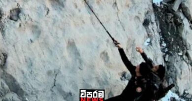 වසර මිලියන 200කට වඩා පැරණි ඩයිනසෝර් පා සටහන් හමුවෙයි