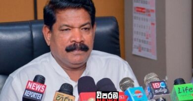 රජය පෙරළීමට උත්සාහ කරන්නේ පාස්කු ඉරිදා ප්‍රහාරයේ මහ මොළකරුවන්