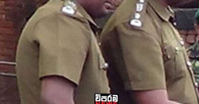 PHIලා අද වෘත්තීය ක්රියාමාර්ගයක PHIලා අද වෘත්තීය ක්රියාමාර්ගයක