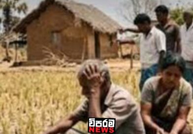 නියගයෙන් හානියට පත් වගාවන්ට වන්දි නියගයෙන් හානියට පත් වගාවන්ට වන්දි