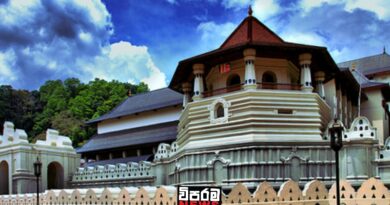 මහනුවර අවසන් රන්දෝලි මහපෙරහර අද මහනුවර අවසන් රන්දෝලි මහපෙරහර අද