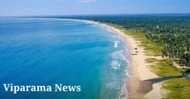 ආරුගම්බේ ආසියාවේ හොඳම සහ ආකර්ෂණීයම වෙරළ තීරය ලෙස නම් කෙරේ