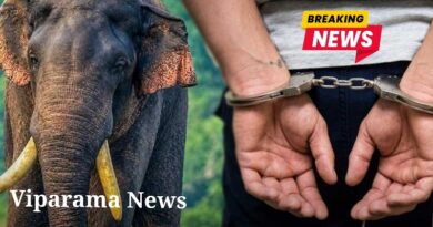 කාවන්තිස්ස ඇතාට වෙඩි තැබීමේ සිද්ධියට සැකකරුවන් 06 දෙනෙකු අත්අඩංගුවට කාවන්තිස්ස ඇතාට වෙඩි තැබීමේ සිද්ධියට සැකකරුවන් 06 දෙනෙකු අත්අඩංගුවට