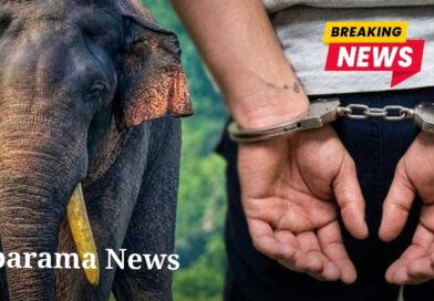 කාවන්තිස්ස ඇතාට වෙඩි තැබීමේ සිද්ධියට සැකකරුවන් 06 දෙනෙකු අත්අඩංගුවට කාවන්තිස්ස ඇතාට වෙඩි තැබීමේ සිද්ධියට සැකකරුවන් 06 දෙනෙකු අත්අඩංගුවට