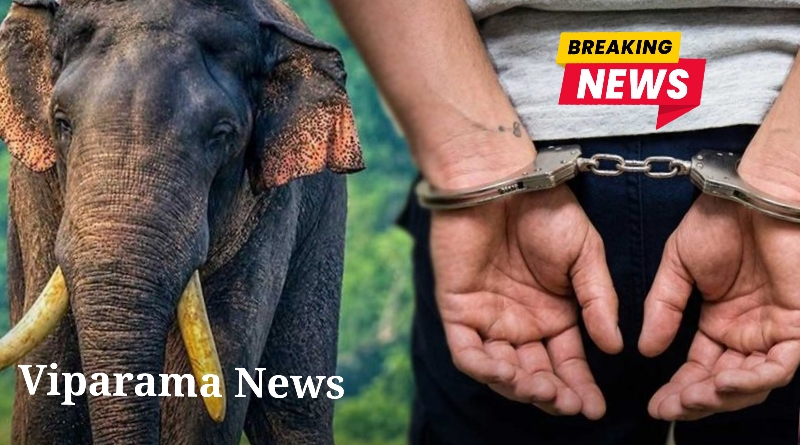 කාවන්තිස්ස ඇතාට වෙඩි තැබීමේ සිද්ධියට සැකකරුවන් 06 දෙනෙකු අත්අඩංගුවට කාවන්තිස්ස ඇතාට වෙඩි තැබීමේ සිද්ධියට සැකකරුවන් 06 දෙනෙකු අත්අඩංගුවට
