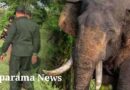 ‘අග්බෝ’ සොයන මෙහෙයුම් දෙවන දිනය ඇරඹේ ‘අග්බෝ’ සොයන මෙහෙයුම් දෙවන දිනය ඇරඹේ