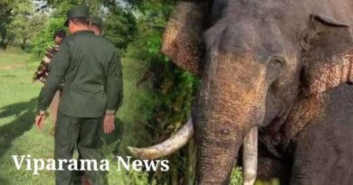 ‘අග්බෝ’ සොයන මෙහෙයුම් දෙවන දිනය ඇරඹේ ‘අග්බෝ’ සොයන මෙහෙයුම් දෙවන දිනය ඇරඹේ