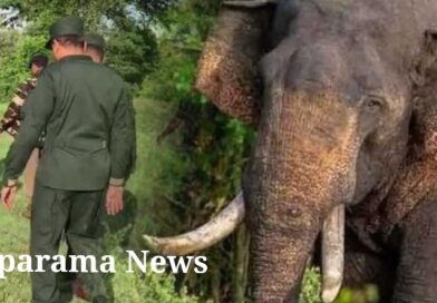 ‘අග්බෝ’ සොයන මෙහෙයුම් දෙවන දිනය ඇරඹේ ‘අග්බෝ’ සොයන මෙහෙයුම් දෙවන දිනය ඇරඹේ