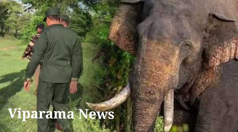 ‘අග්බෝ’ සොයන මෙහෙයුම් දෙවන දිනය ඇරඹේ ‘අග්බෝ’ සොයන මෙහෙයුම් දෙවන දිනය ඇරඹේ
