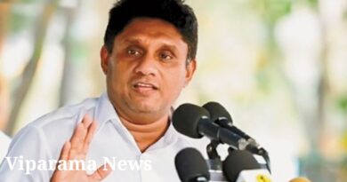 අලි- ඇතුන් රැකගන්න කාර්ය සාධන බළකායක් ඕනෑ අලි- ඇතුන් රැකගන්න කාර්ය සාධන බළකායක් ඕනෑ