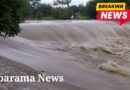 කලා ඔයත් ගංවතුර මට්ටමට ළං වෙයි