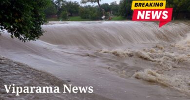 කලා ඔයත් ගංවතුර මට්ටමට ළං වෙයි කලා ඔයත් ගංවතුර මට්ටමට ළං වෙයි