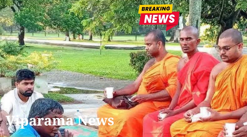 විහාරමහාදේවි උද්යානයේ සත්යග්රහයේ නිරත පිරිසට අද ලැබුණු තීන්දුව විහාරමහාදේවි උද්යානයේ සත්යග්රහයේ නිරත පිරිසට අද ලැබුණු තීන්දුව